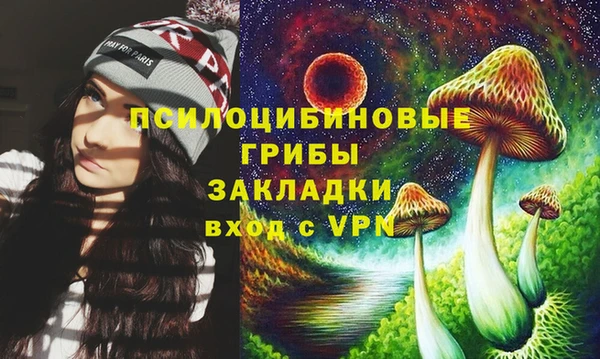 амф Алзамай